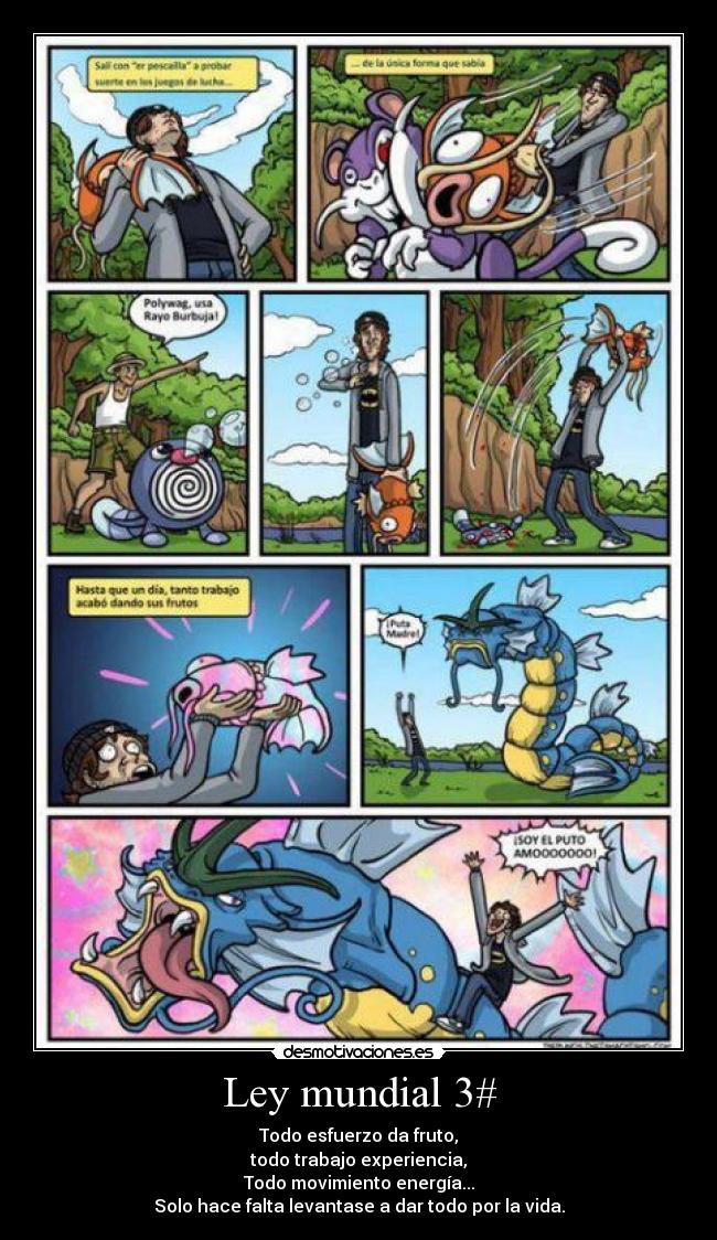 Ley mundial 3# -