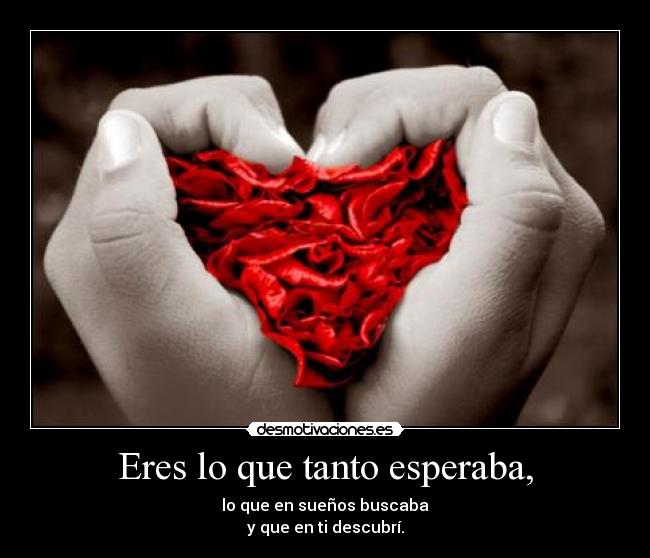 Eres lo que tanto esperaba, - lo que en sueños buscaba
y que en ti descubrí.