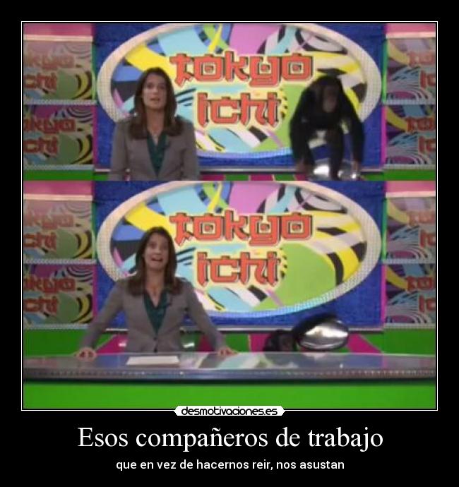 carteles trabajo companeros trabajo que creen grasiosos son desmotivaciones