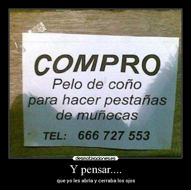 carteles munecas pelos comprar desmotivaciones