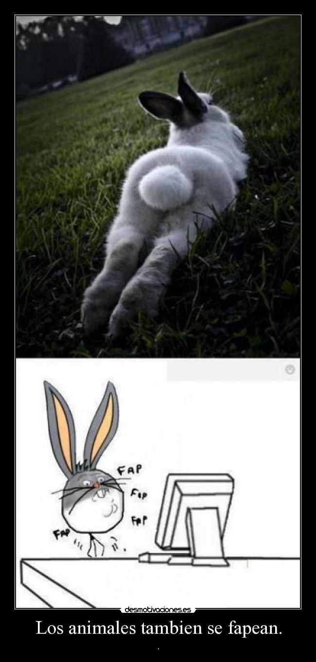 Los animales tambien se fapean. - .