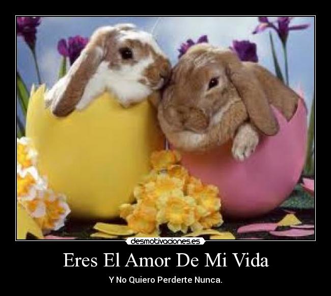 carteles amor vida 1234567890 desmotivaciones