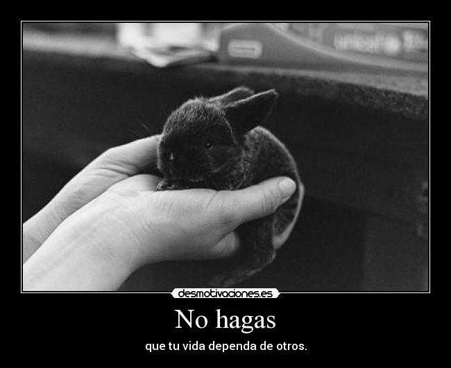 No hagas - 