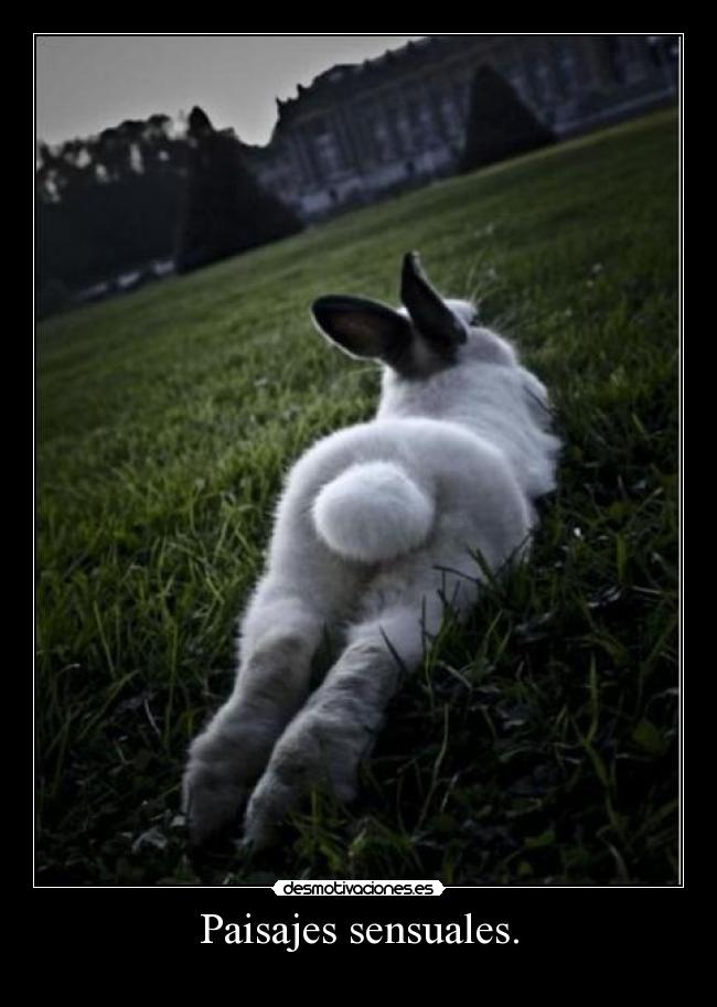 Paisajes sensuales. -