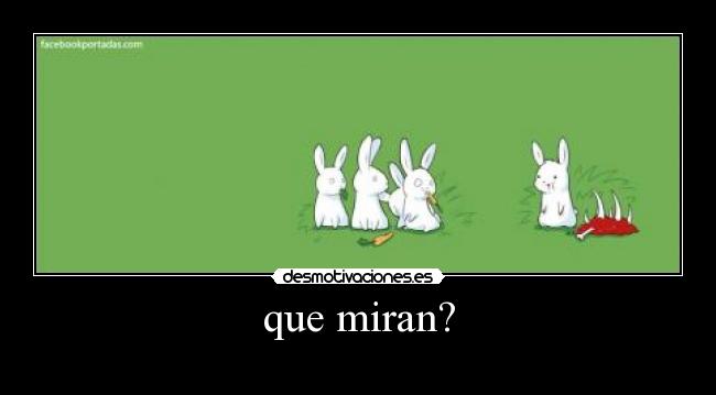 que miran? - 