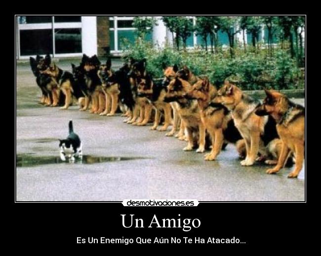 Un Amigo - Es Un Enemigo Que Aún No Te Ha Atacado...