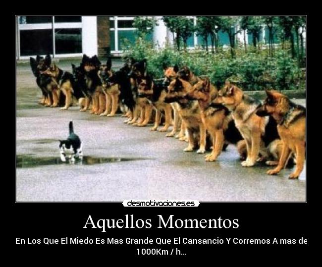 Aquellos Momentos - En Los Que El Miedo Es Mas Grande Que El Cansancio Y Corremos A mas de
1000Km / h...