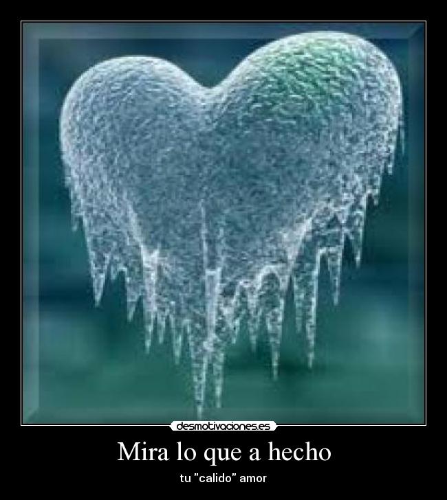 Mira lo que a hecho - tu calido amor