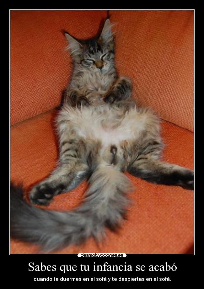 Sabes que tu infancia se acabó - cuando te duermes en el sofá y te despiertas en el sofá.
