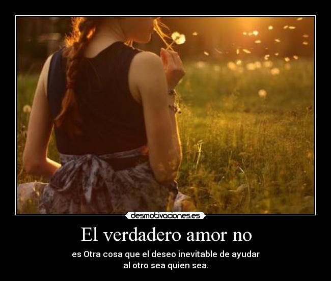 carteles amor verdadero amor desmotivaciones