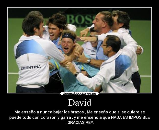 David - 