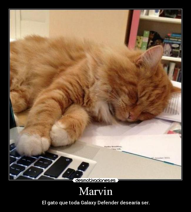 Marvin -
