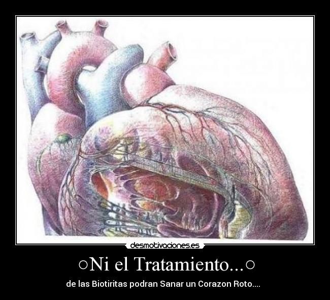 ○Ni el Tratamiento...○ - de las Biotiritas podran Sanar un Corazon Roto....
