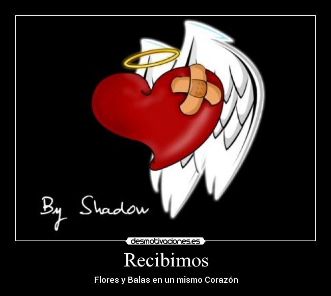 Recibimos - 