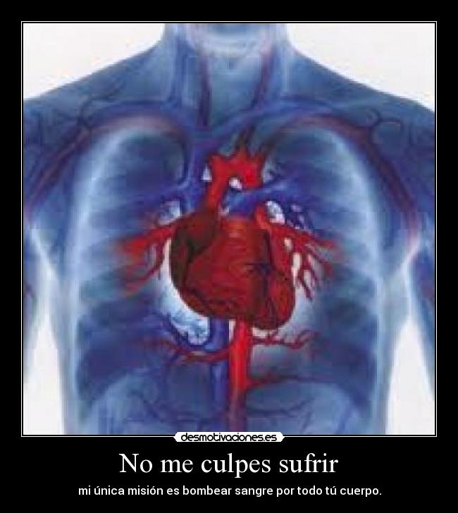 No me culpes sufrir - 