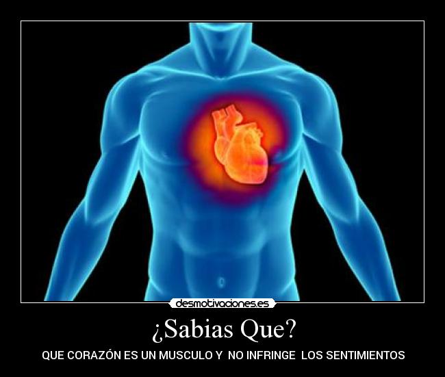 ¿Sabias Que? -