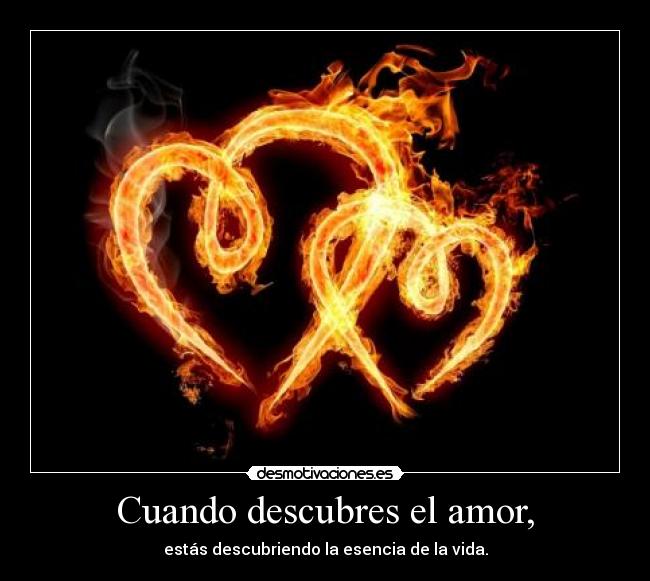 Cuando descubres el amor, - estás descubriendo la esencia de la vida.