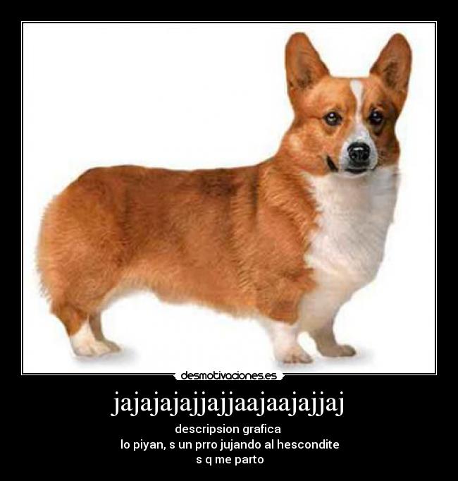 carteles jajajaja desmotivaciones