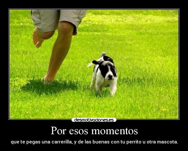 Por esos momentos - 