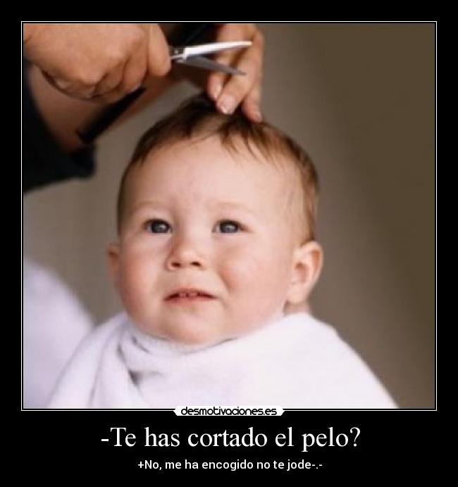 -Te has cortado el pelo? -
