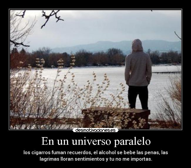 En un universo paralelo -