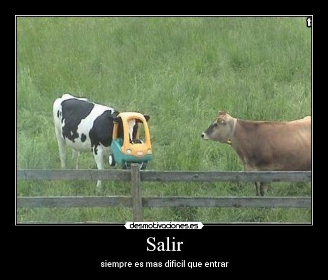 Salir - siempre es mas dificil que entrar