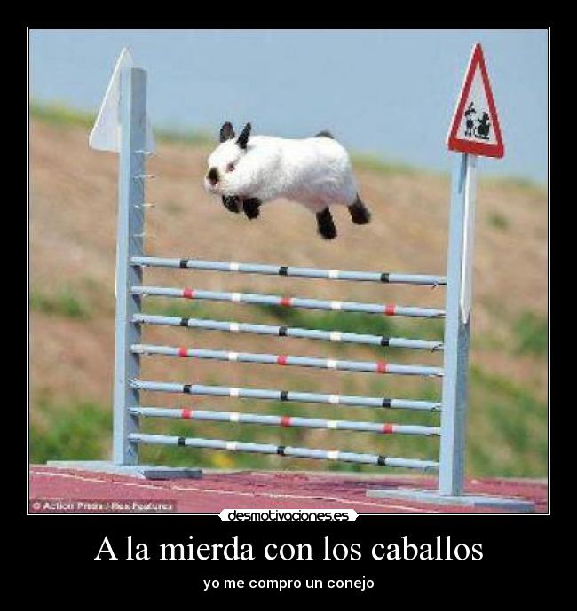 carteles mierda con los caballos desmotivaciones