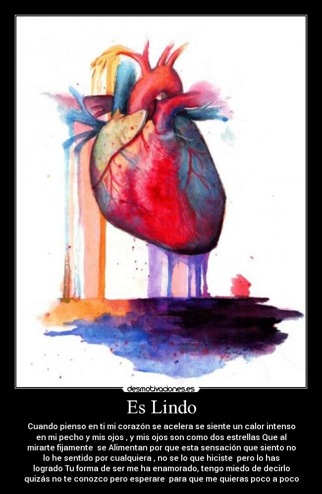 Es Lindo - Cuando pienso en ti mi corazón se acelera se siente un calor intenso
en mi pecho y mis ojos , y mis ojos son como dos estrellas Que al
mirarte fijamente se Alimentan por que esta sensación que siento no
lo he sentido por cualquiera , no se lo que hiciste pero lo has
logrado Tu forma de ser me ha enamorado, tengo miedo de decirlo
quizás no te conozco pero esperare para que me quieras poco a poco