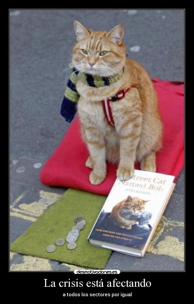 La crisis está afectando - a todos los sectores por igual