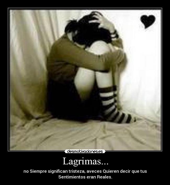 carteles llorar desmotivaciones