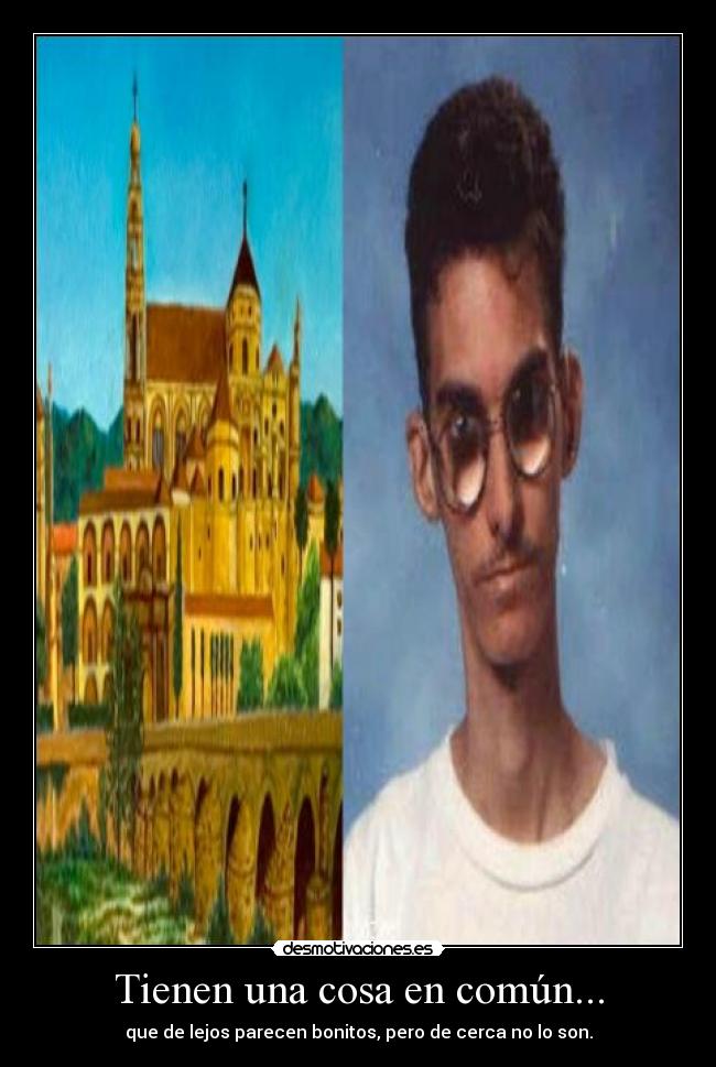 Tienen una cosa en común... - que de lejos parecen bonitos, pero de cerca no lo son.