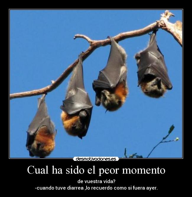 Cual ha sido el peor momento - de vuestra vida?
-cuando tuve diarrea ,lo recuerdo como si fuera ayer.