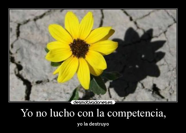 Yo no lucho con la competencia, -