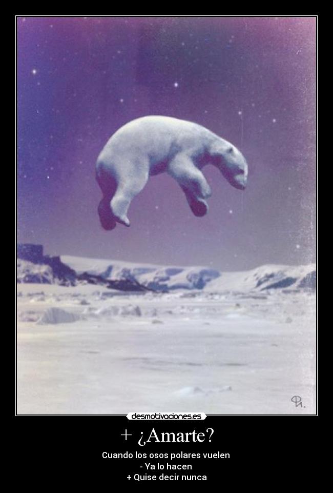 carteles gato intruders porque seran asi desmotivaciones