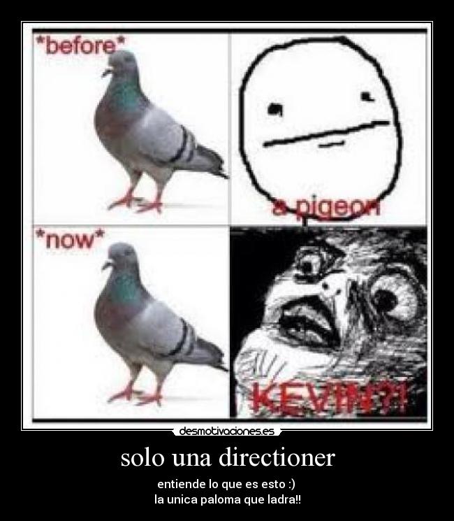 carteles one direction infection kevin louis desmotivaciones