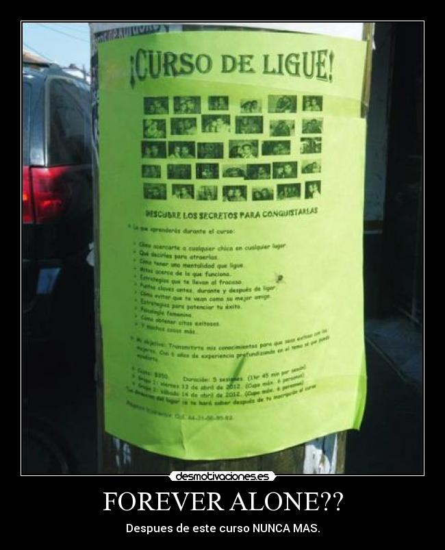 FOREVER ALONE?? - Despues de este curso NUNCA MAS.