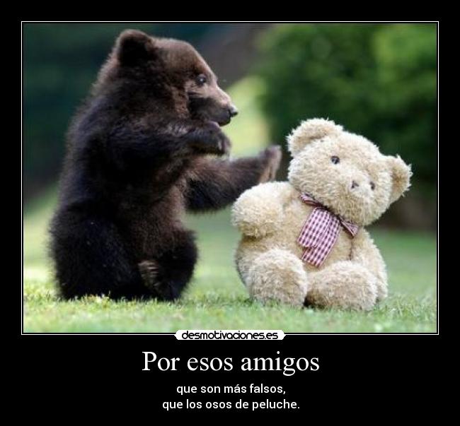 Por esos amigos -