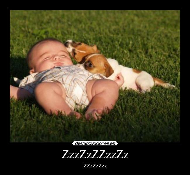 ZzzZzZZzzZz - ZZzZzZzz