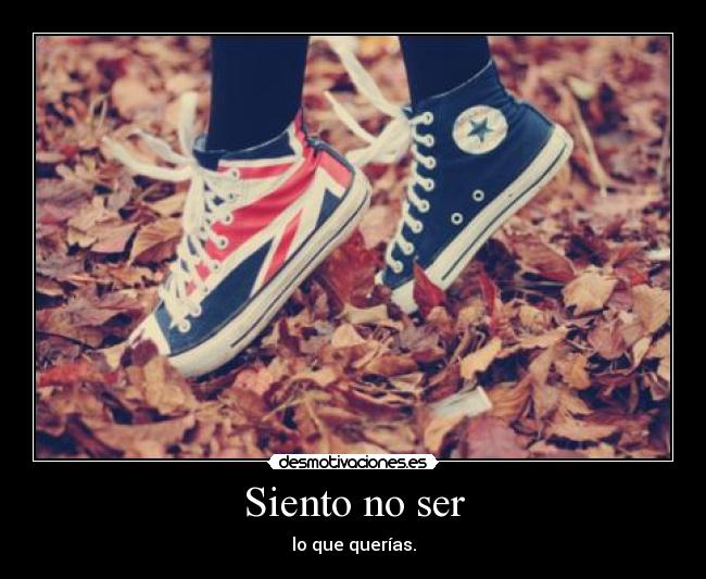 Siento no ser - lo que querías.