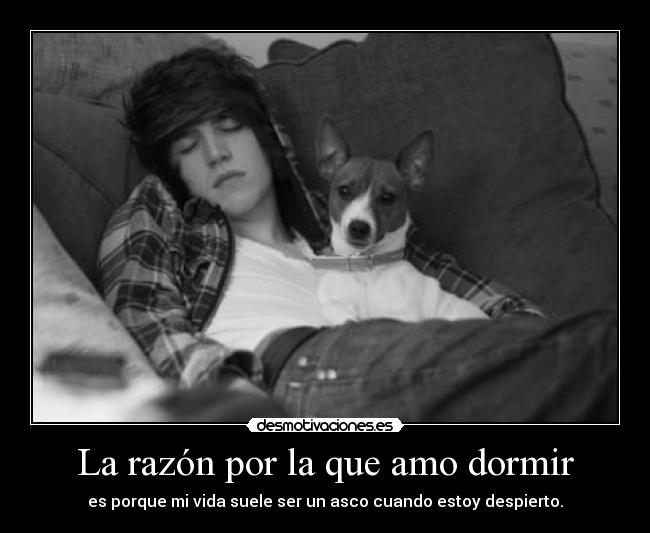 carteles dormir dormir desmotivaciones