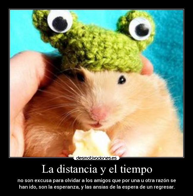 carteles distancia nersa salte tierra gatito con gorrito verde qnq ando nostalgica uwu desmotivaciones