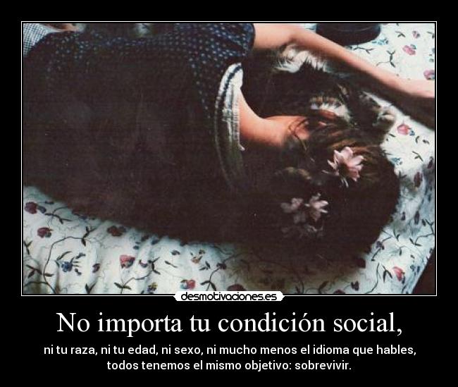 No importa tu condición social, -