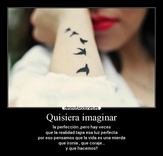 Quisiera imaginar - la perfección ,pero hay veces
que la realidad tapa esa luz perfecta
por eso pensamos que la vida es una mierda
que ironía , que coraje...
y que hacemos?