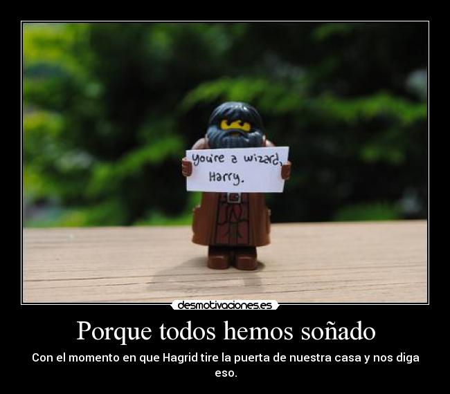 carteles hagrid harry potter desmotivaciones