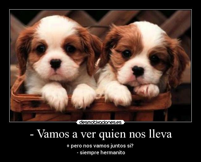 - Vamos a ver quien nos lleva -