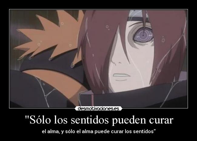 Sólo los sentidos pueden curar -