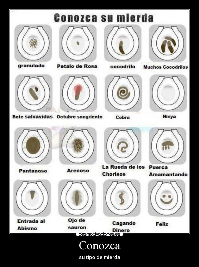 Conozca - su tipo de mierda