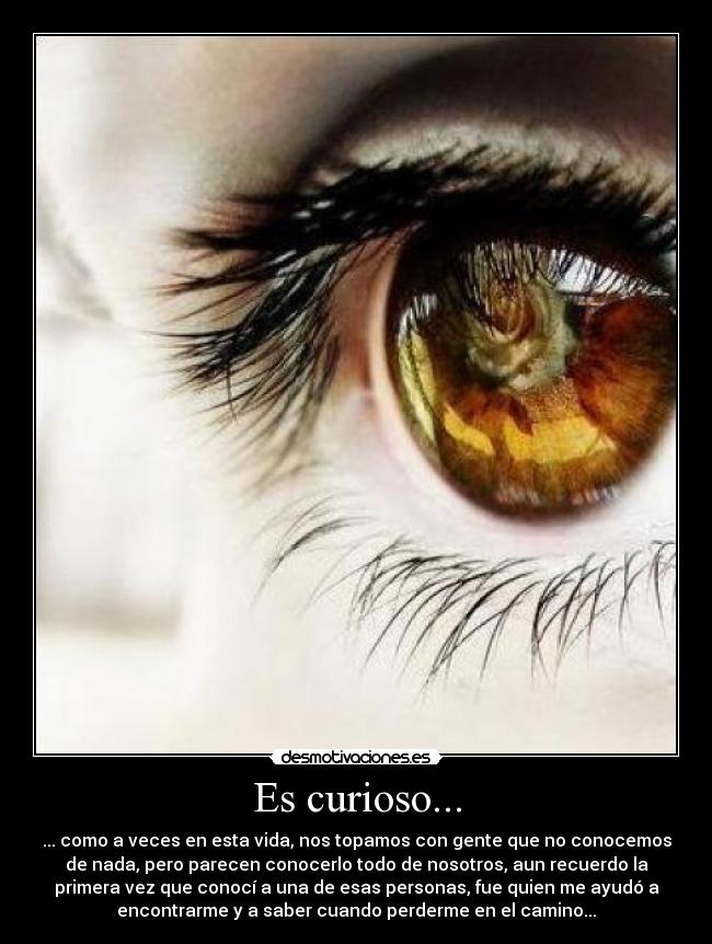 Es curioso... - ... como a veces en esta vida, nos topamos con gente que no conocemos
de nada, pero parecen conocerlo todo de nosotros, aun recuerdo la
primera vez que conocí a una de esas personas, fue quien me ayudó a
encontrarme y a saber cuando perderme en el camino...