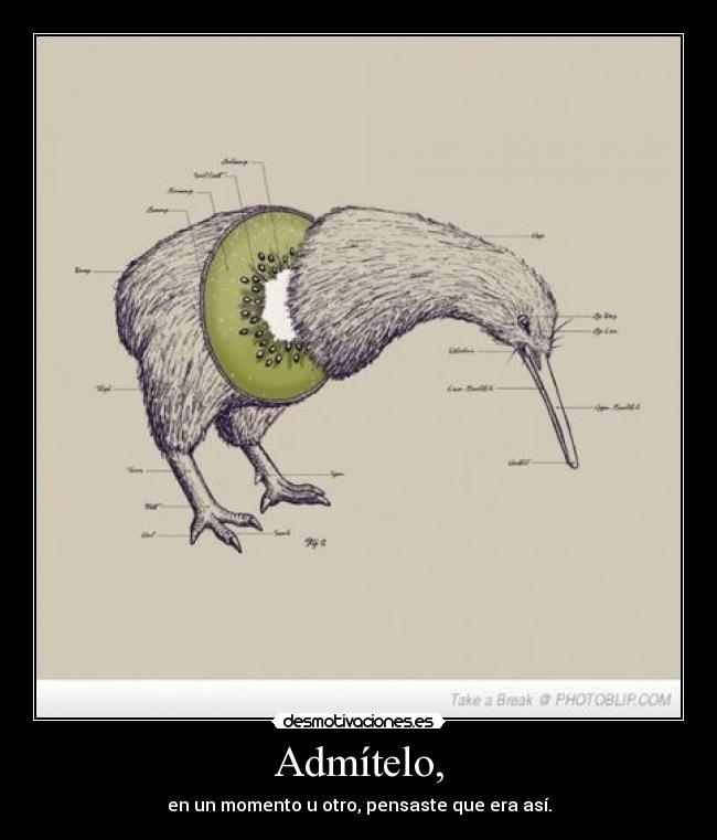 Admítelo, - en un momento u otro, pensaste que era así.