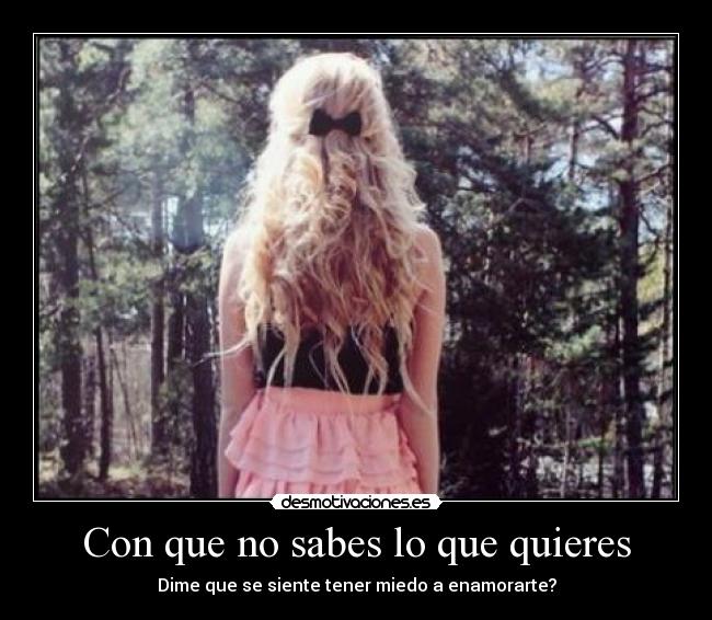 carteles tambien temo enamorarme sufrir pero por estoy dispuesta correr riesgo desmotivaciones